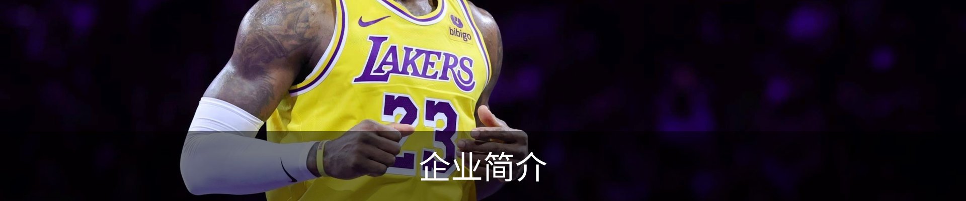 企业简介